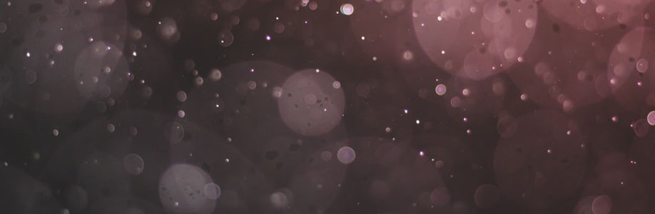 Daniela Babcock Cover Image
